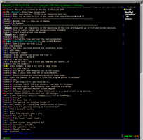 132x60 (IRC)